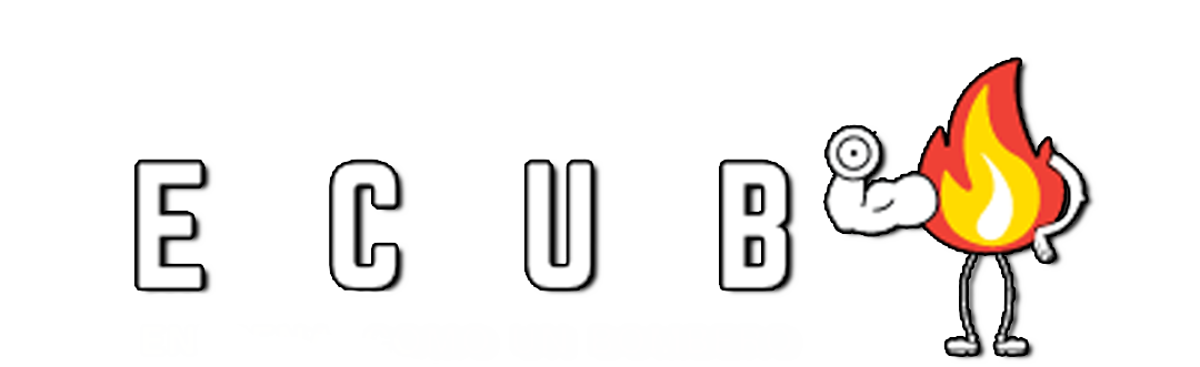 logo ecub